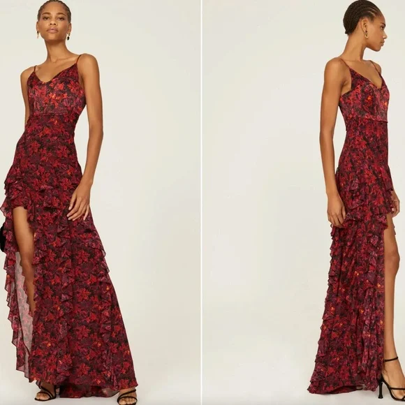 sz 2 Stargazer Lilies Glenda Gown dress Cinq à Sept Long Floral Printed Ruffle - Picture 1 of 5